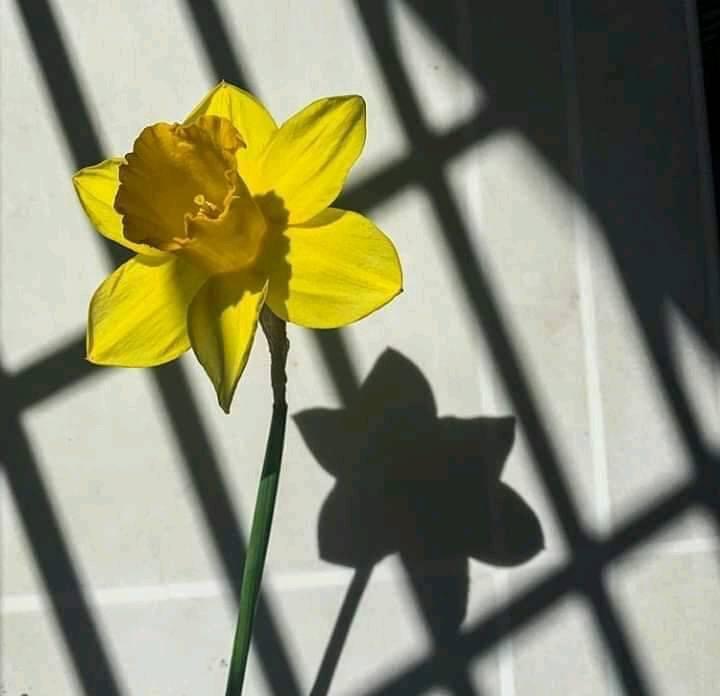 Łączy nas pamięć.