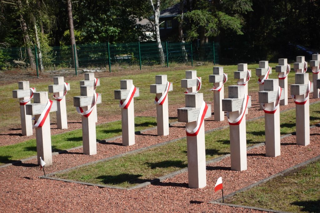 Uroczystości upamiętniające wyzwolenie Flandrii.